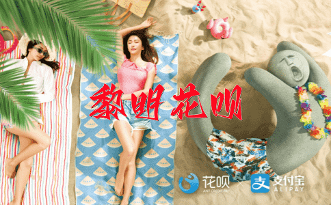艺高人胆大花呗